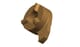 R116025000.TIF